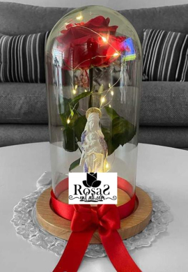 Rosas preservada con virgen en cali
