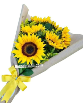 Girasoles para ti